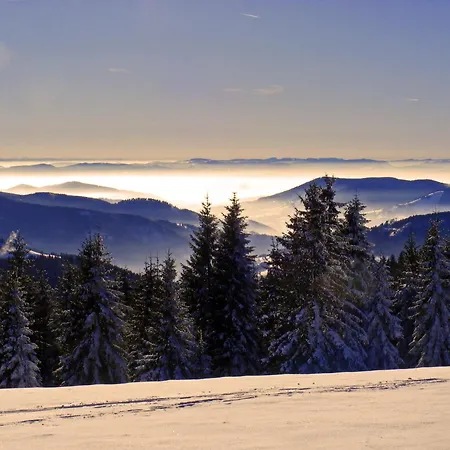 Sport Rees - Anna Hofsgrund