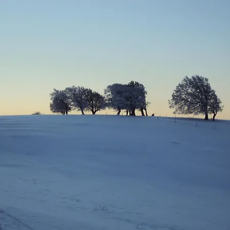 Lägenhet Sport Rees - Anna