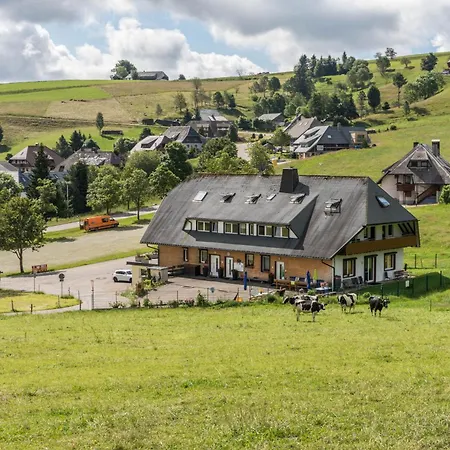 Sport Rees - Anna * Hofsgrund