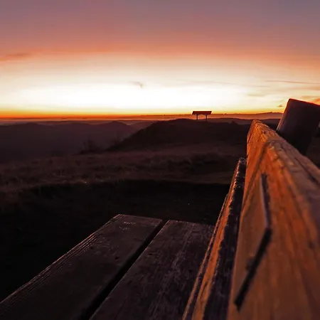 Sport Rees - Anna * Hofsgrund