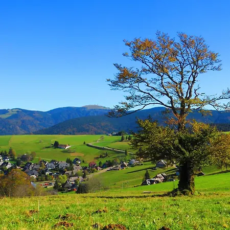 Sport Rees - Anna * Hofsgrund